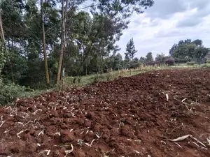 100x100 in Kinoo Kiambu County.