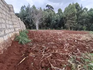 100x100 in Kinoo Kiambu County.