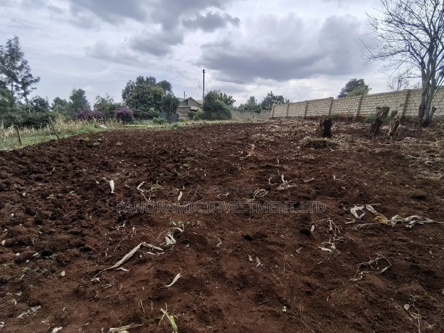 100x100 in Kinoo Kiambu County.