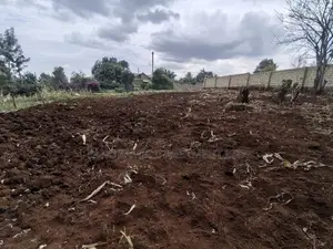 100x100 in Kinoo Kiambu County.