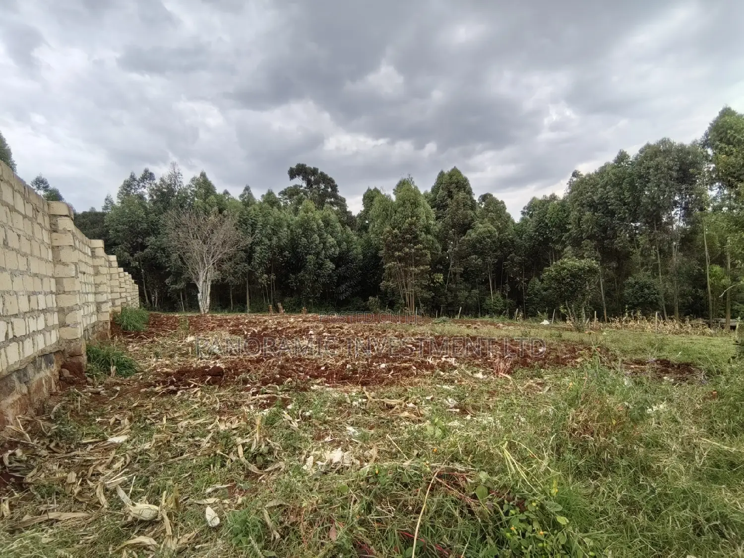 100x100 in Kinoo Kiambu County.