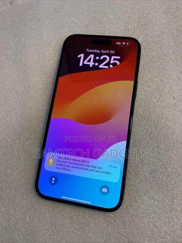 Apple iPhone 15 Pro 256 GB Silver - main view