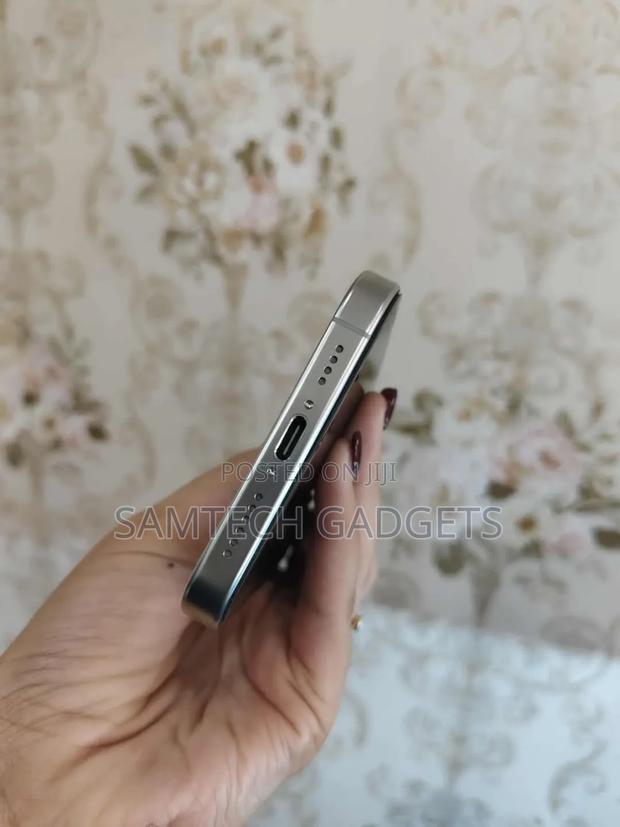 New Apple iPhone 16 Pro Max 256 GB Silver - thumbnail 2