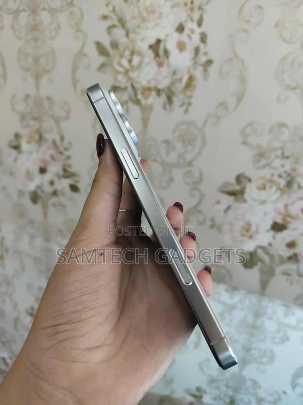 New Apple iPhone 16 Pro Max 256 GB Silver - thumbnail 3