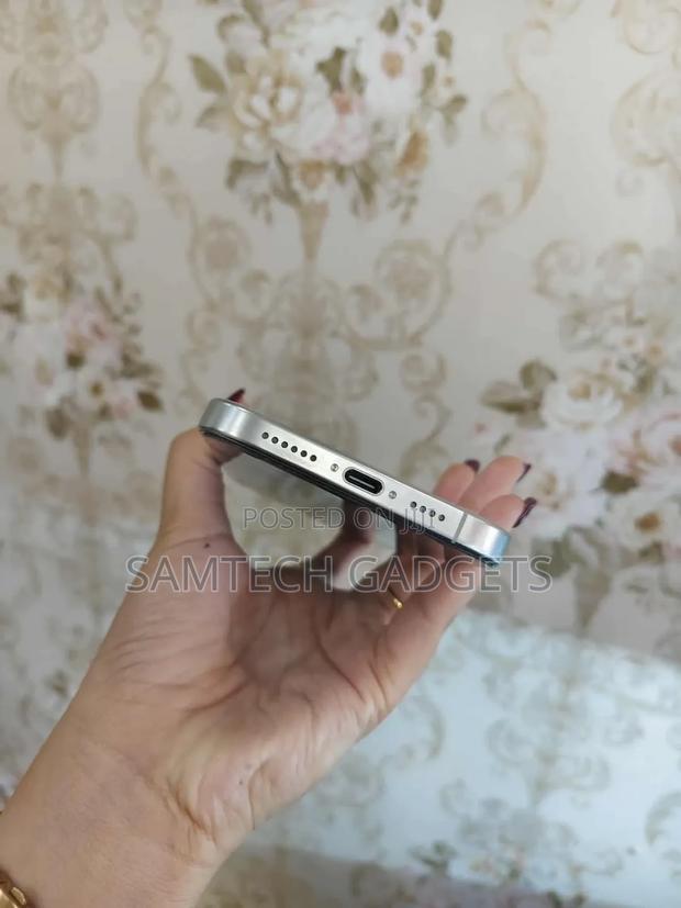 New Apple iPhone 16 Pro Max 256 GB Silver - thumbnail 4