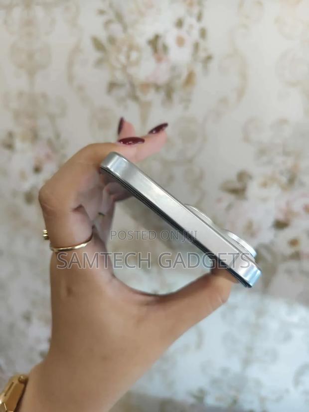 New Apple iPhone 16 Pro Max 256 GB Silver - thumbnail 5