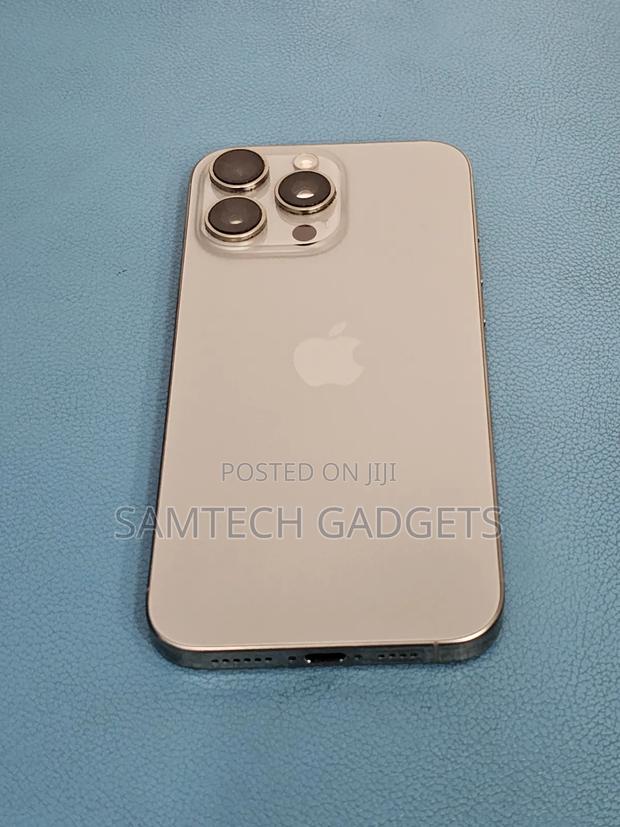 Apple iPhone 16 Pro Max 256 GB Gray - main view