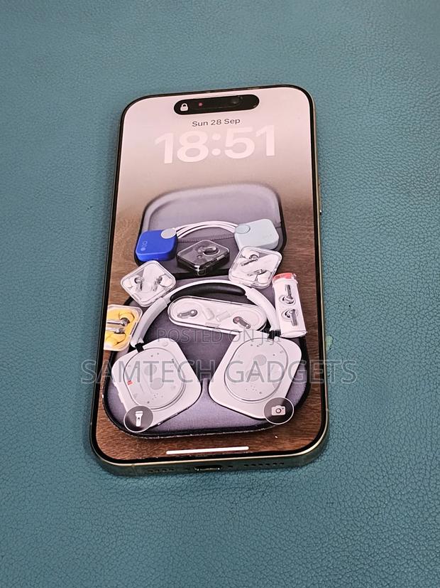 Apple iPhone 16 Pro Max 256 GB Gray - thumbnail 2