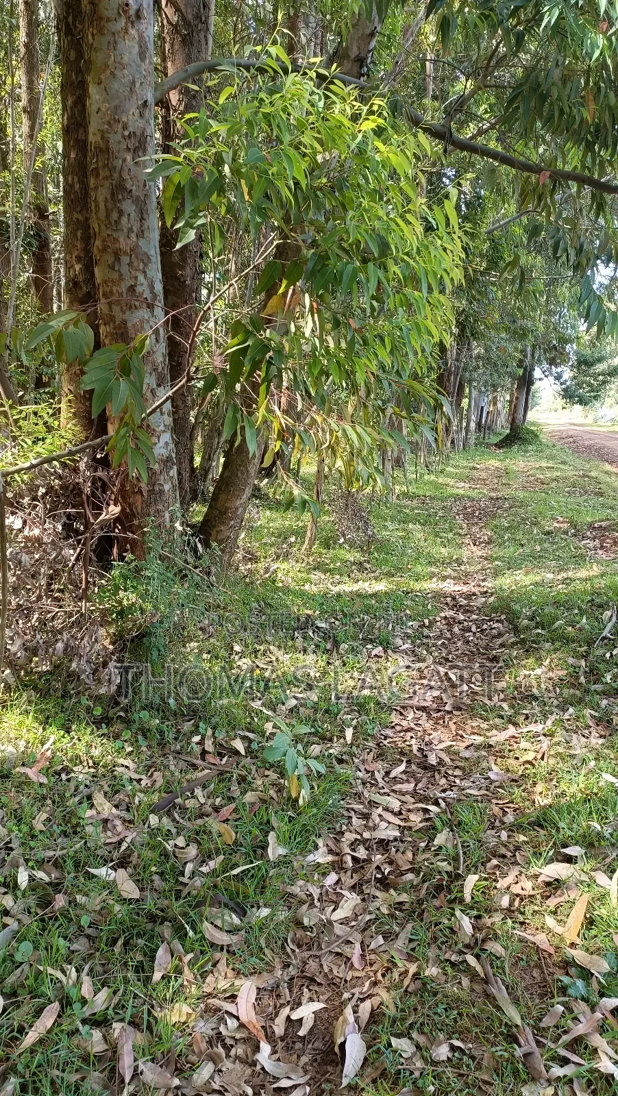 Eldoret Outspan 1⁄2 Acre Best for Residential Purposes