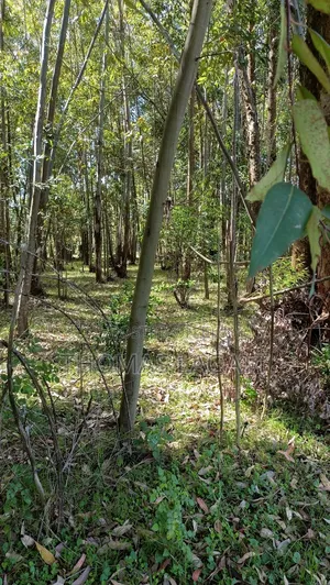 Eldoret Outspan 1⁄2 Acre Best for Residential Purposes