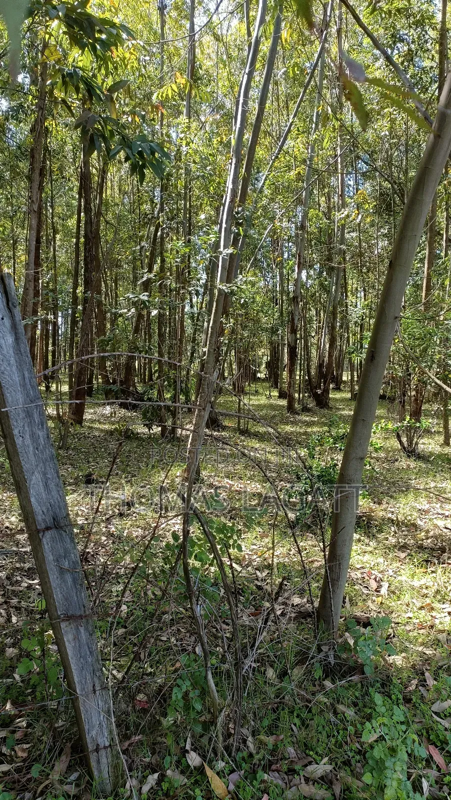Eldoret Outspan 1⁄2 Acre Best for Residential Purposes