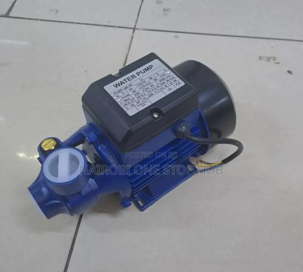 Premier Booster Pump