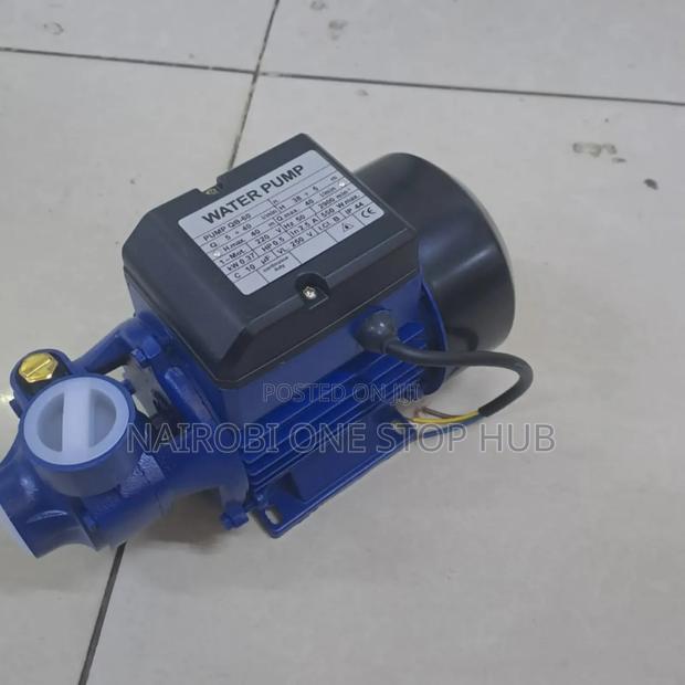 Premier Qb60 Booster Pump