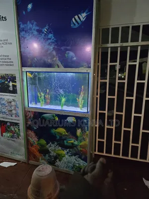 Exhibition Stand Aquariums – Custom-Built for Trade Shows and Events