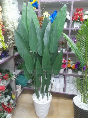 Birds of Paradise in Vase Plus Stones in Stock