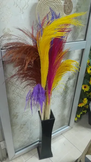 Long Colored Pampas in Black Vase