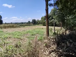 4 Acres for Sale in Ondiri Kikuyu Kiambu County.