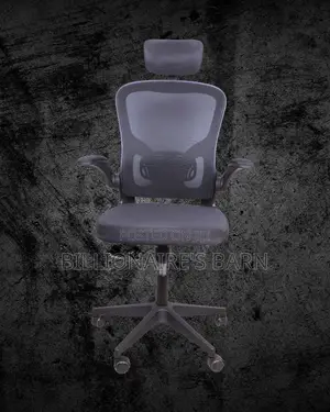 Grey Ergonomic Office Chair (Executive) — Offer Valid This Week