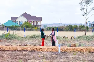 Kamulu Plots - Sw
