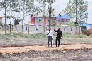 Kamulu Plots - Sw - main view