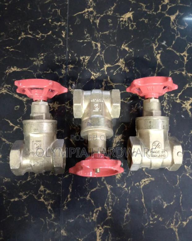 Gate Valve 1/2 Pegler