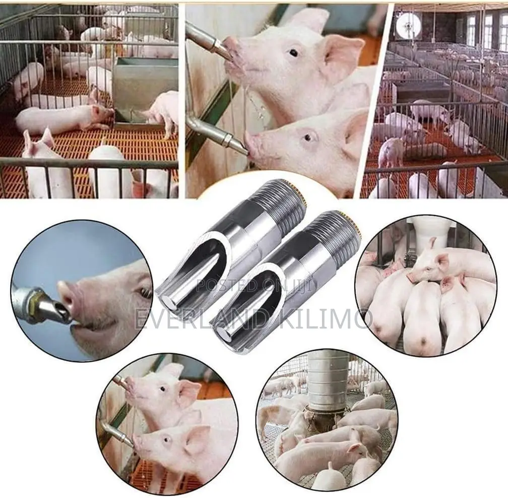 Hygienic Pig Nipples
