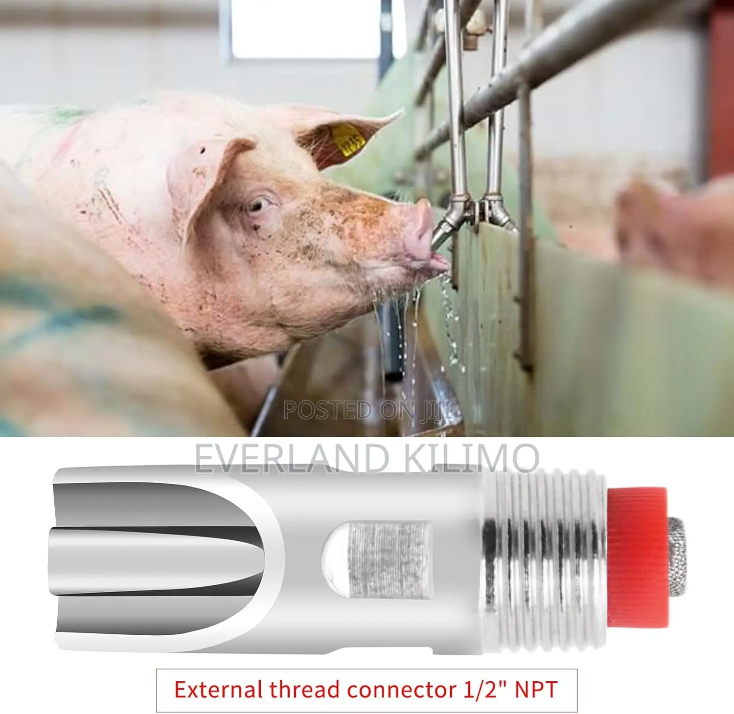 Rust-Resistant Pig Nipples