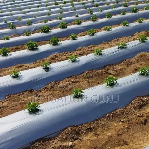 Silver-Black Mulching Paper - main view