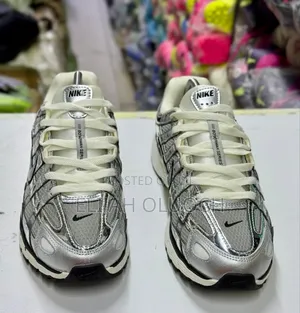 Nike P_6000 PRM Silver Shoes