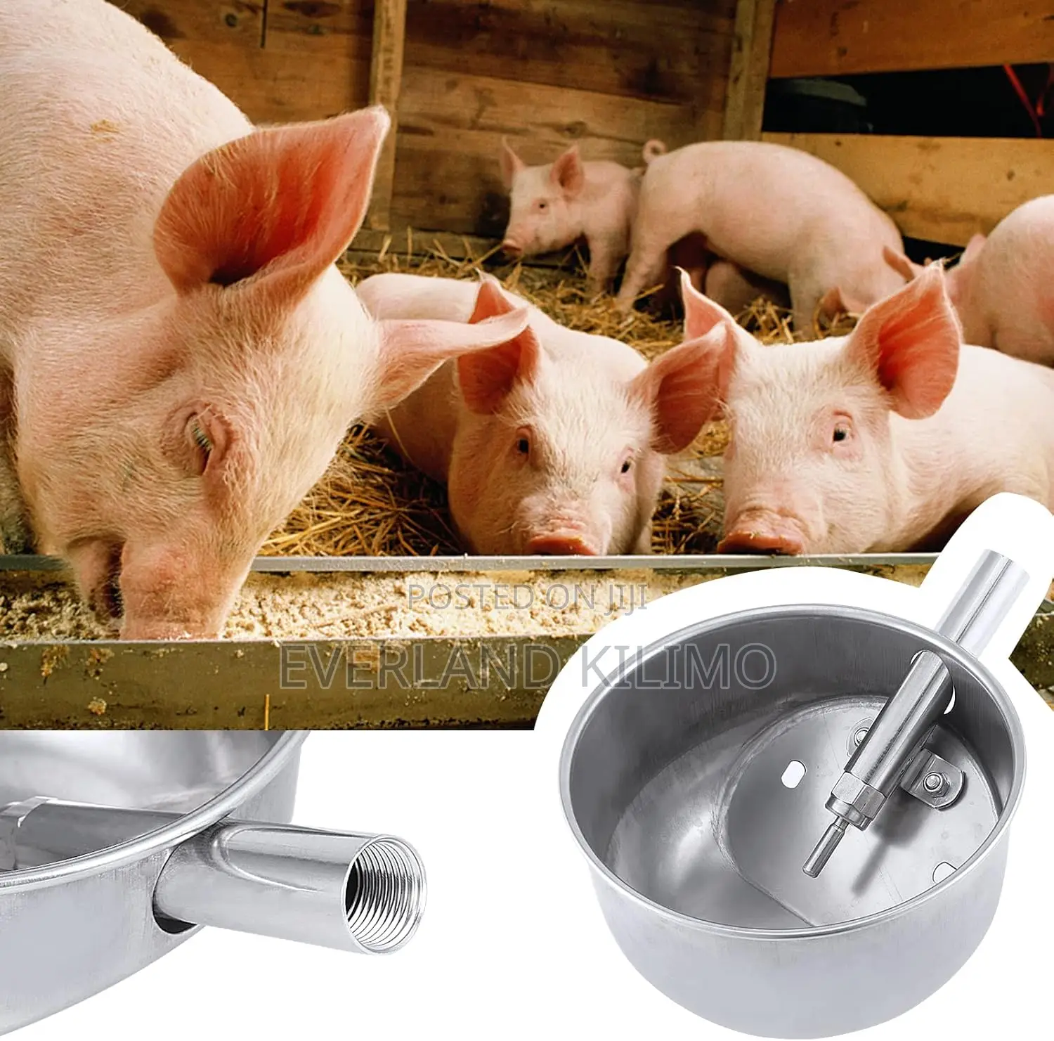 Easy-to-Install Pig Waterer