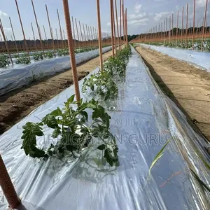 Therma Crop Veil 60microns