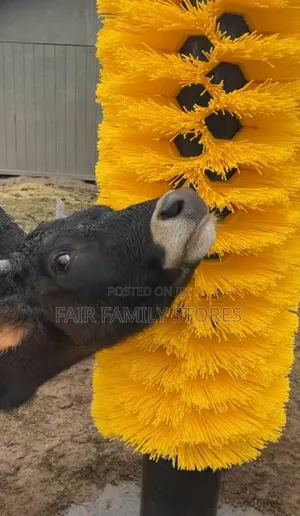 Cow Brush / Cattle Grooming Brush
