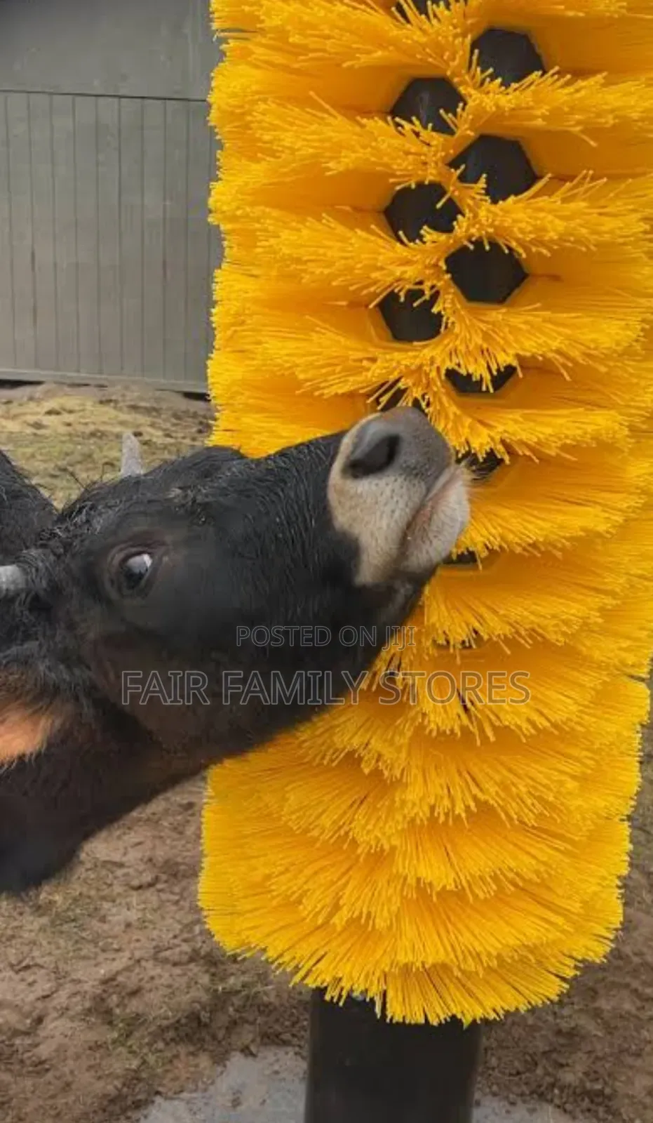 Cow Brush / Cattle Grooming Brush