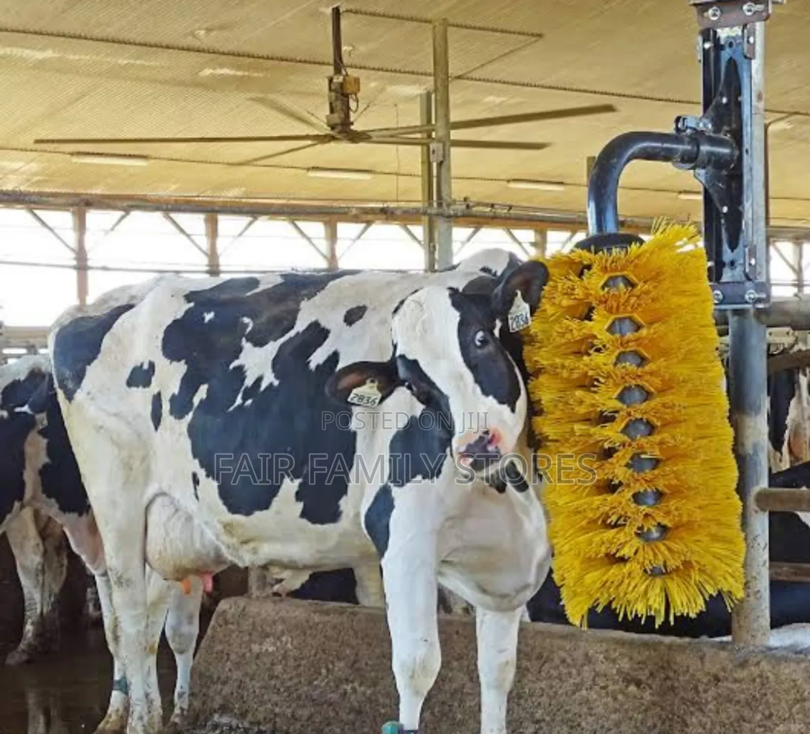 Cow Brush / Cattle Grooming Brush