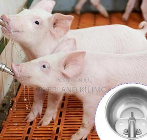 Efficient Pig Waterer - main view