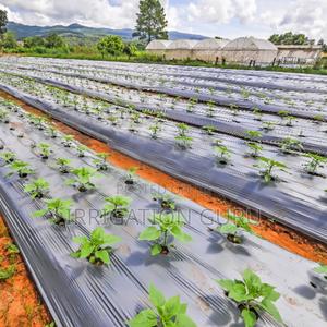 Hydro Lock Surface - main view