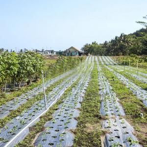 U Bounce Mulch - thumbnail 2