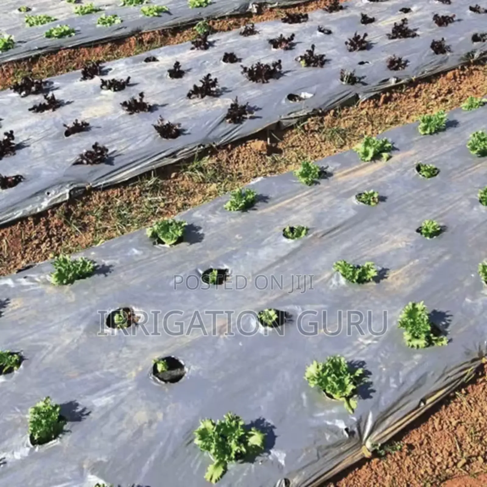Soilsaver Wrap