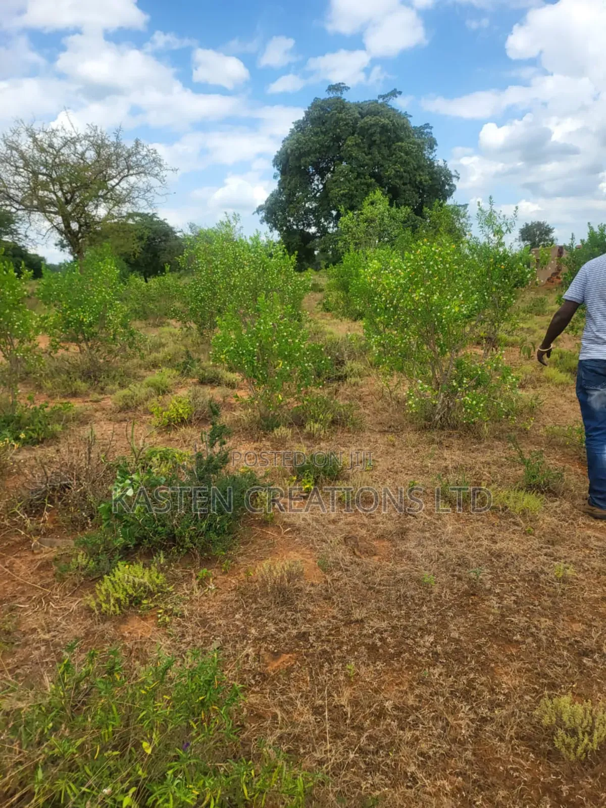 2 Acres Kithimani, Ready Title