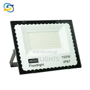 High Power 100w Sports Stadium Mini Flood Led Light