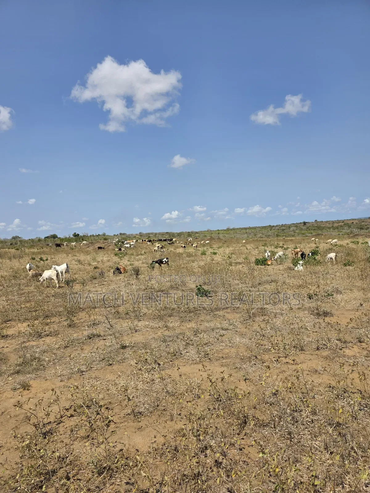 Malindi Plots