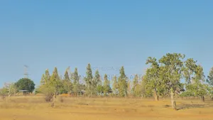 Malindi Plots