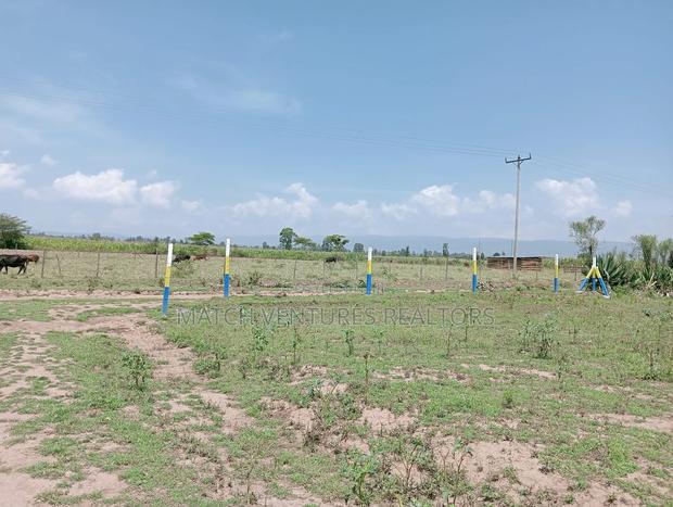 Hills View