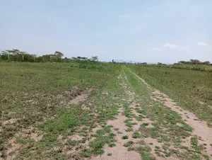 Hills View