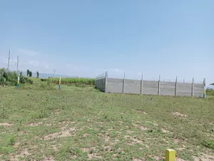 Hills View