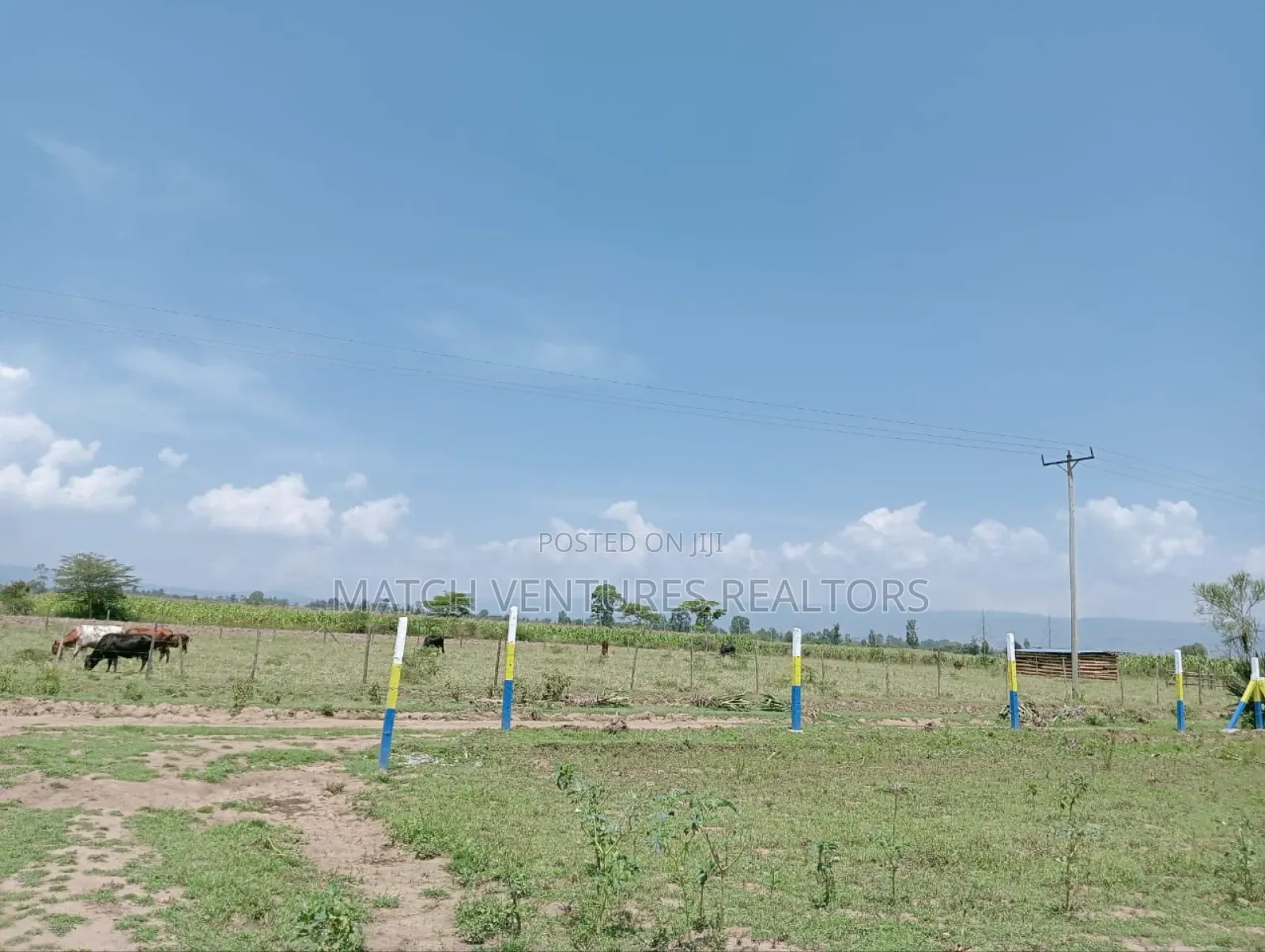 Hills View