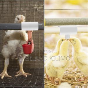 Compact Poultry Drinker Plus Connector - main view