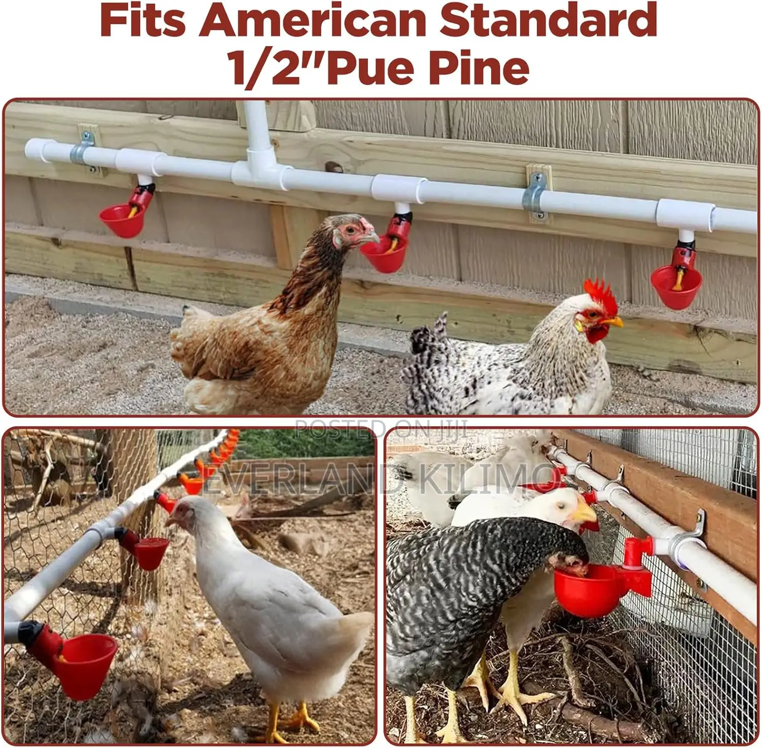 Adaptable Poultry Drinker Plus Connector