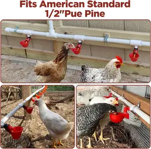 Adaptable Poultry Drinker Plus Connector