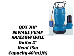 QDX 3hp Sewage Shallow Pump